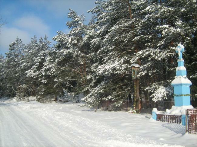 Wypoczynek U Piotra Susiec Exterior foto